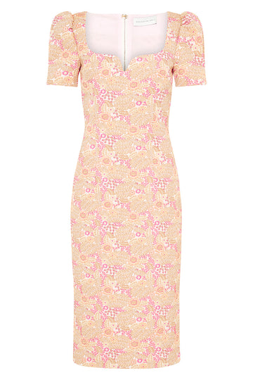 Stella Midi