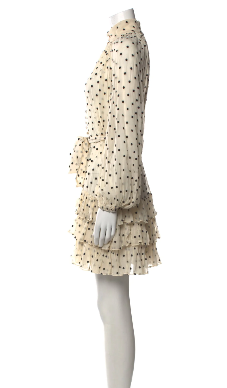 Polka Dot Print Mini Dress
