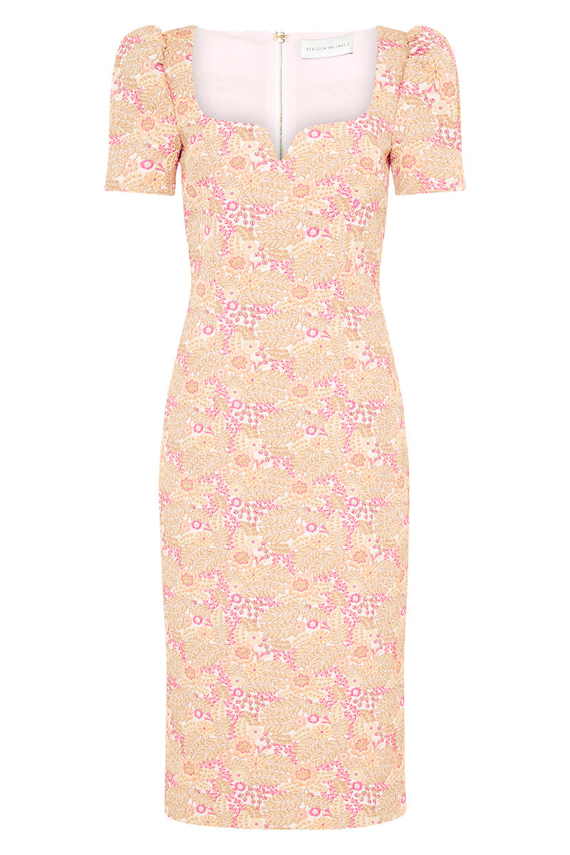 Stella Midi