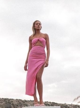 Aston Dress Pink - Style Theory